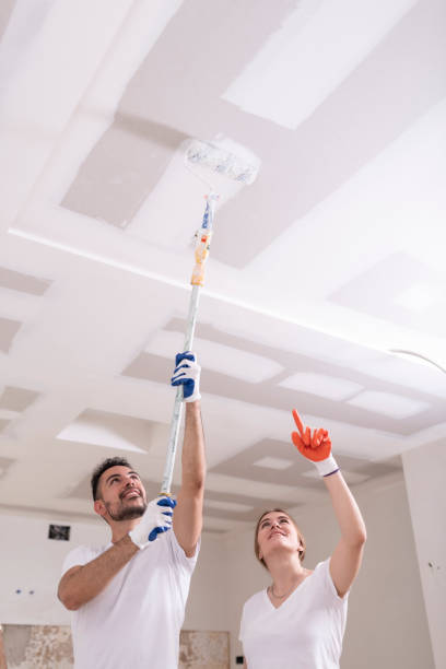 Trusted Tashua, CT Mold Removal Experts