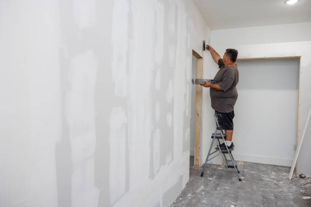 Best Real Estate Mold Inspection  in Tashua, CT